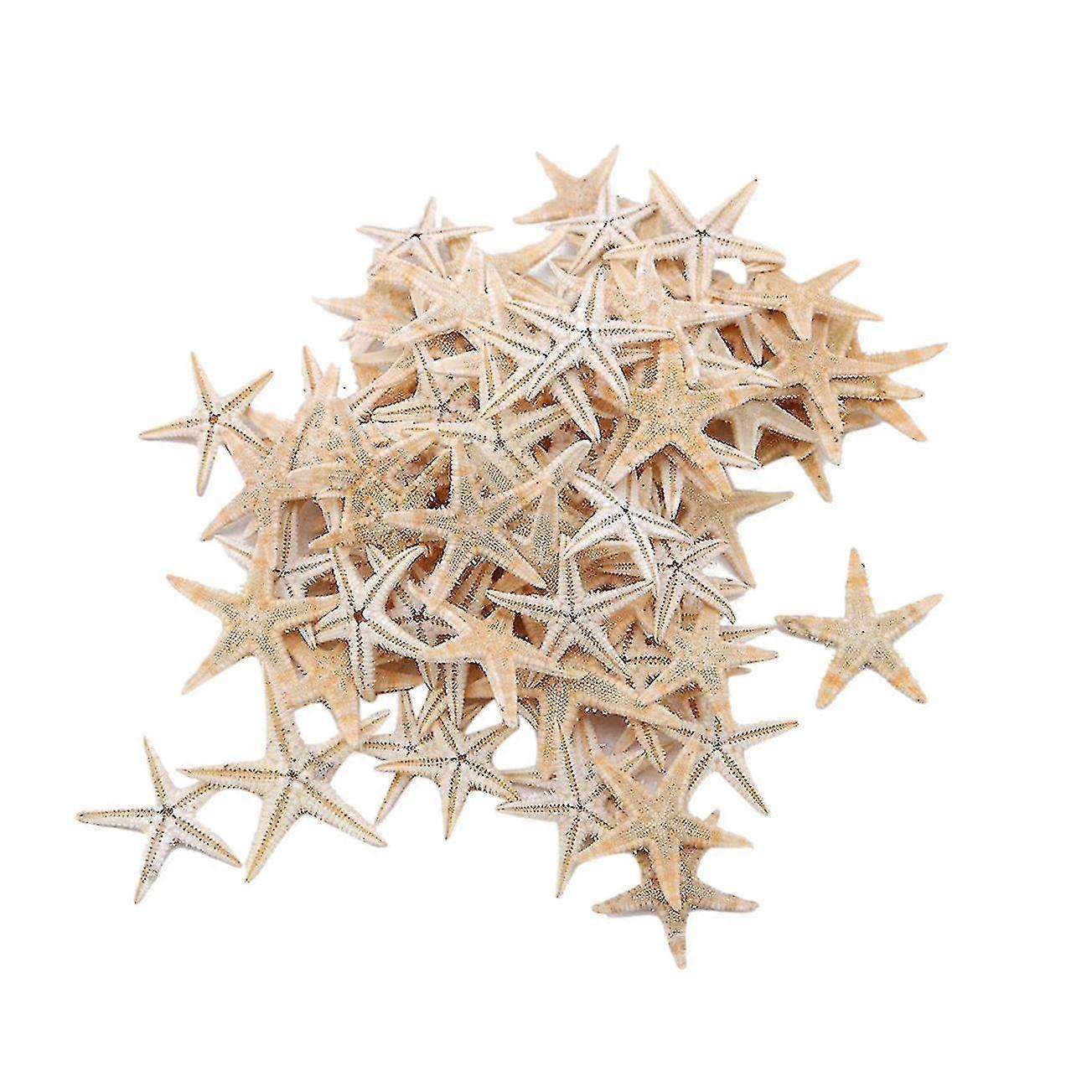 100pcs الطبيعية نجم البحر الصدف شاطئ الحرف الطبيعية نجوم البحر دي بيتش زفاف الديكور الحرف