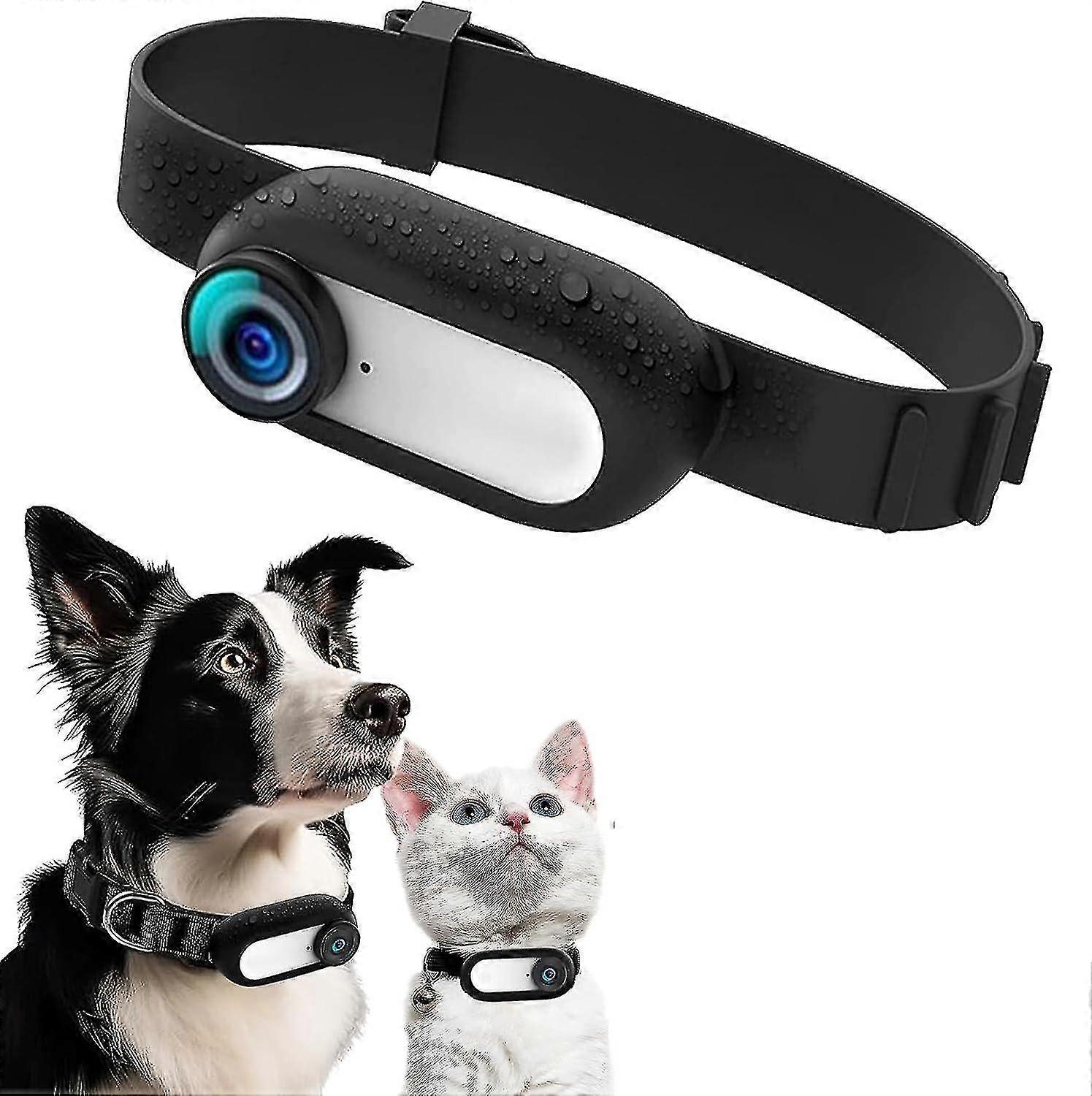 Hd 1080p Pet Tracker Collar With Video Records