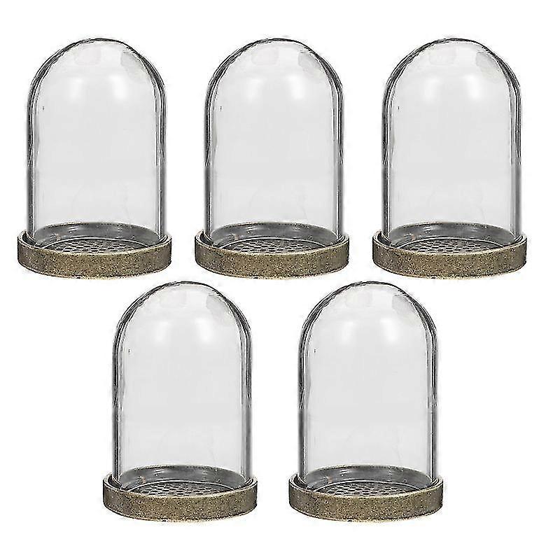 5 مجموعات من الزجاج حاوية Terrarium Diy البيئية النباتية غطاء زجاجي مع صينية