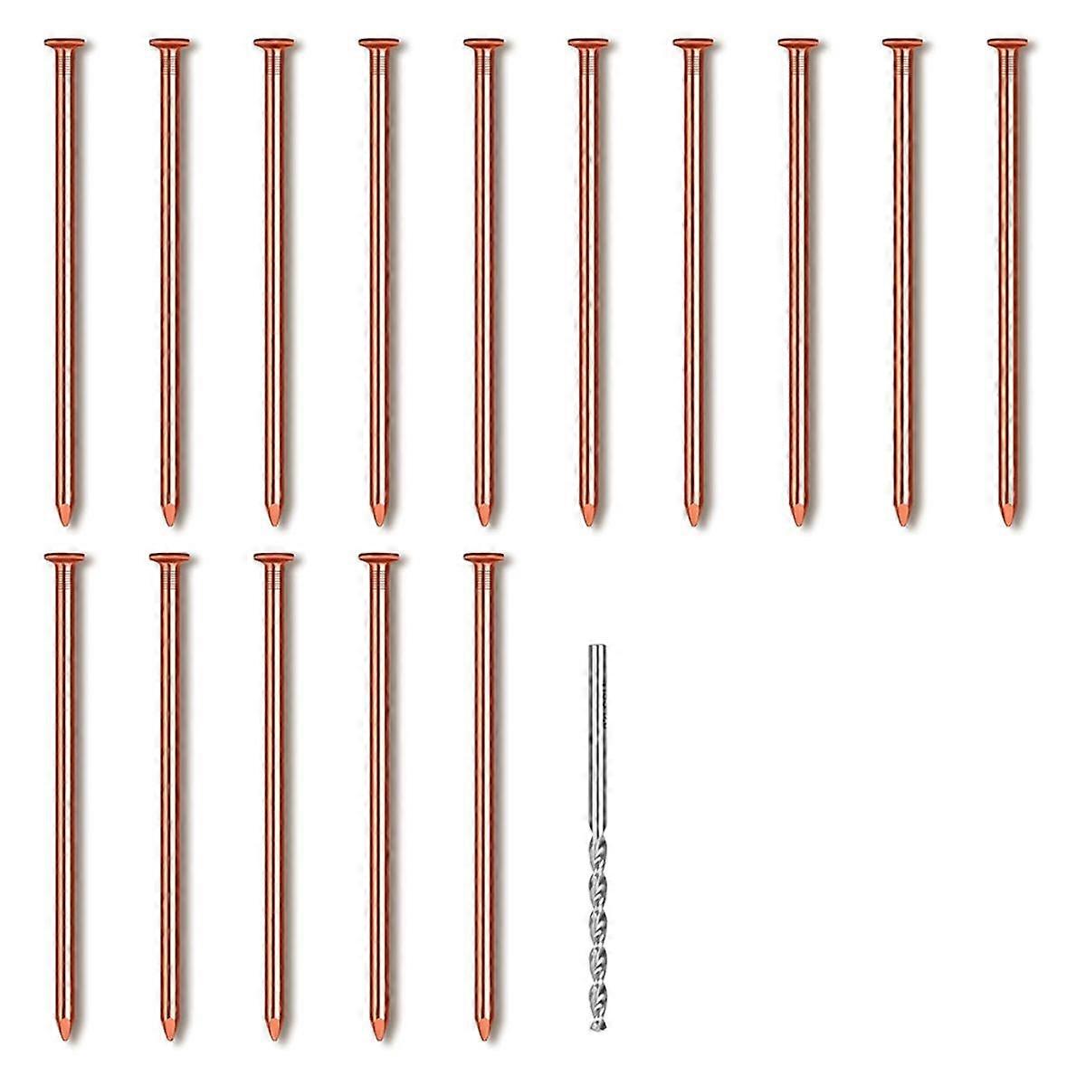15Pcs Copper Nails for Killing Trees Stump Root, 3.14 Inch Long Pure Copper Nails with Drill, Stump