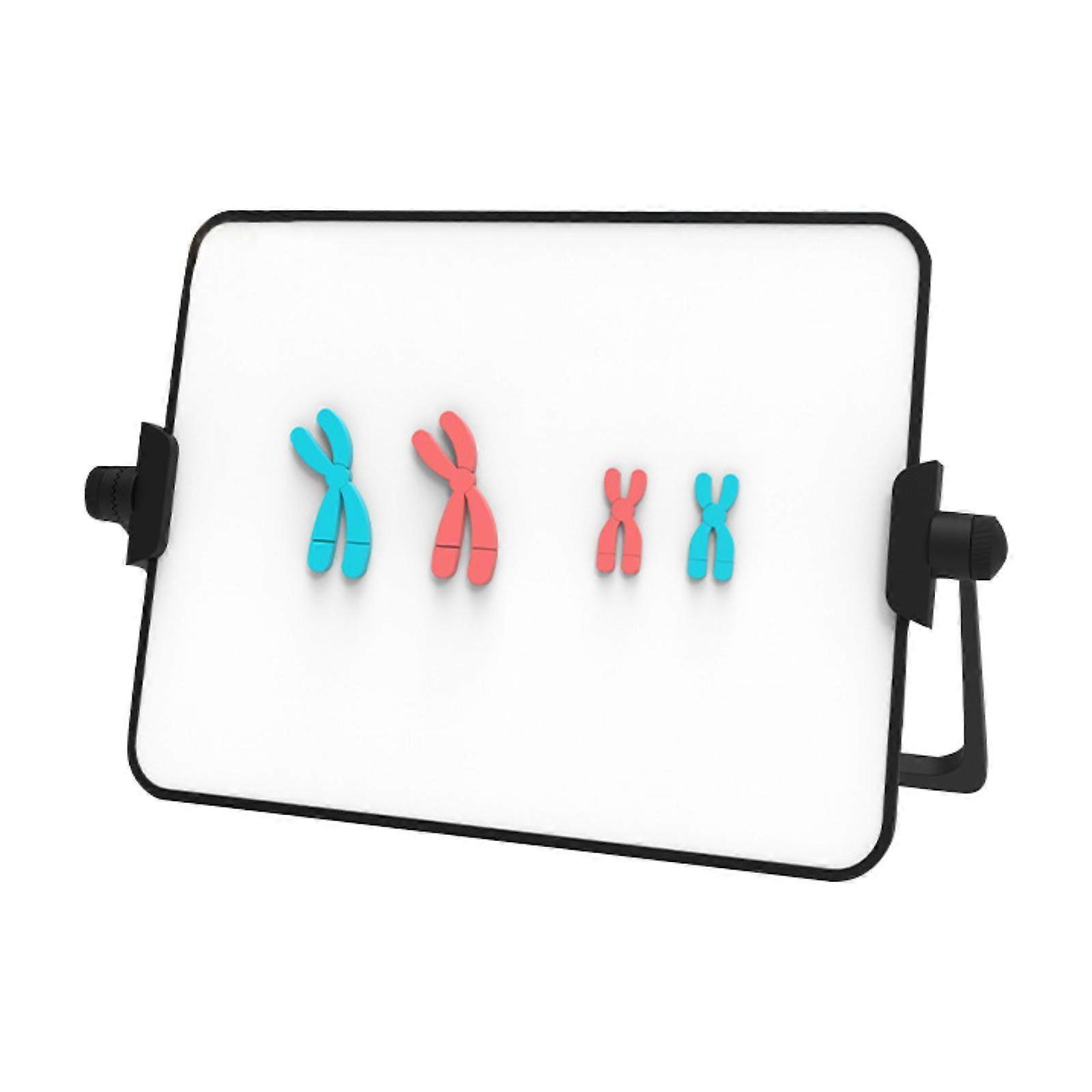 Meiosis Chromosome Change Model Kit with Bracket Science Detachable Classroom