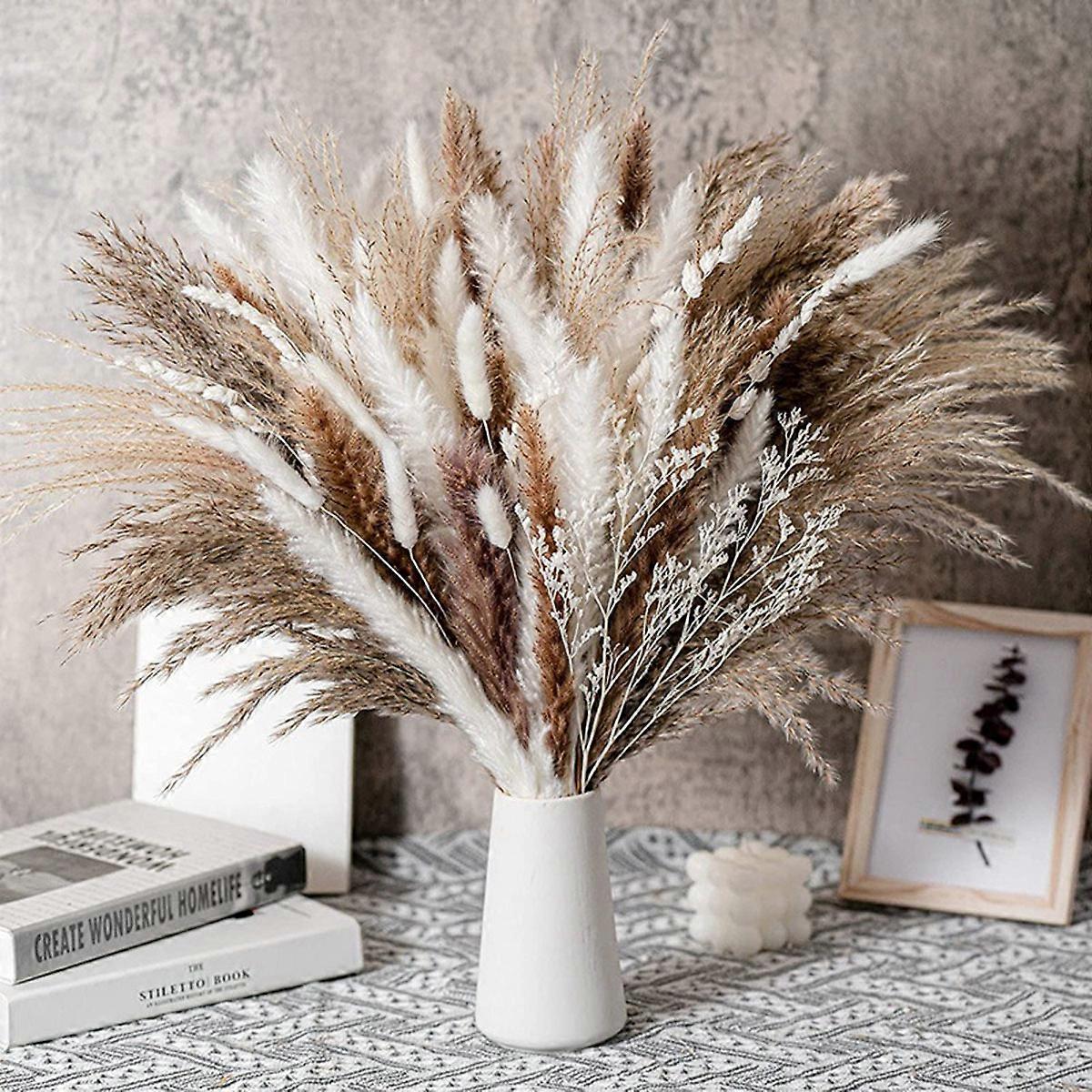 Pampas Grass Small Reed Rabbit Tail 80-2 Combination