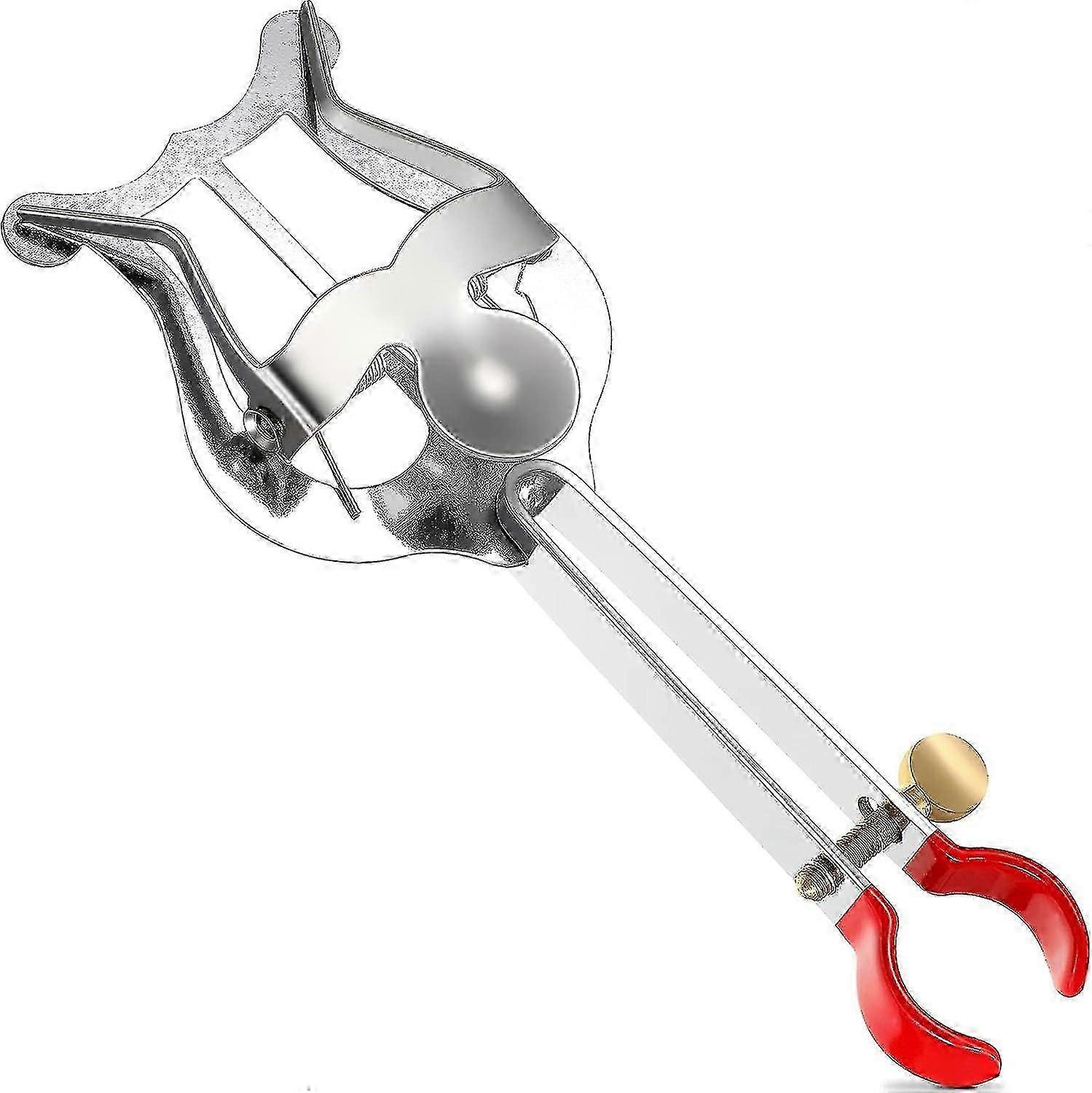 Trumpet Lyre Lyre For Trumpet And Flip Folder Silver Trumpet Lyre Lightght Instrument Lyre Trumpet Marching Lyre For Instruments 14 X 52 Cm