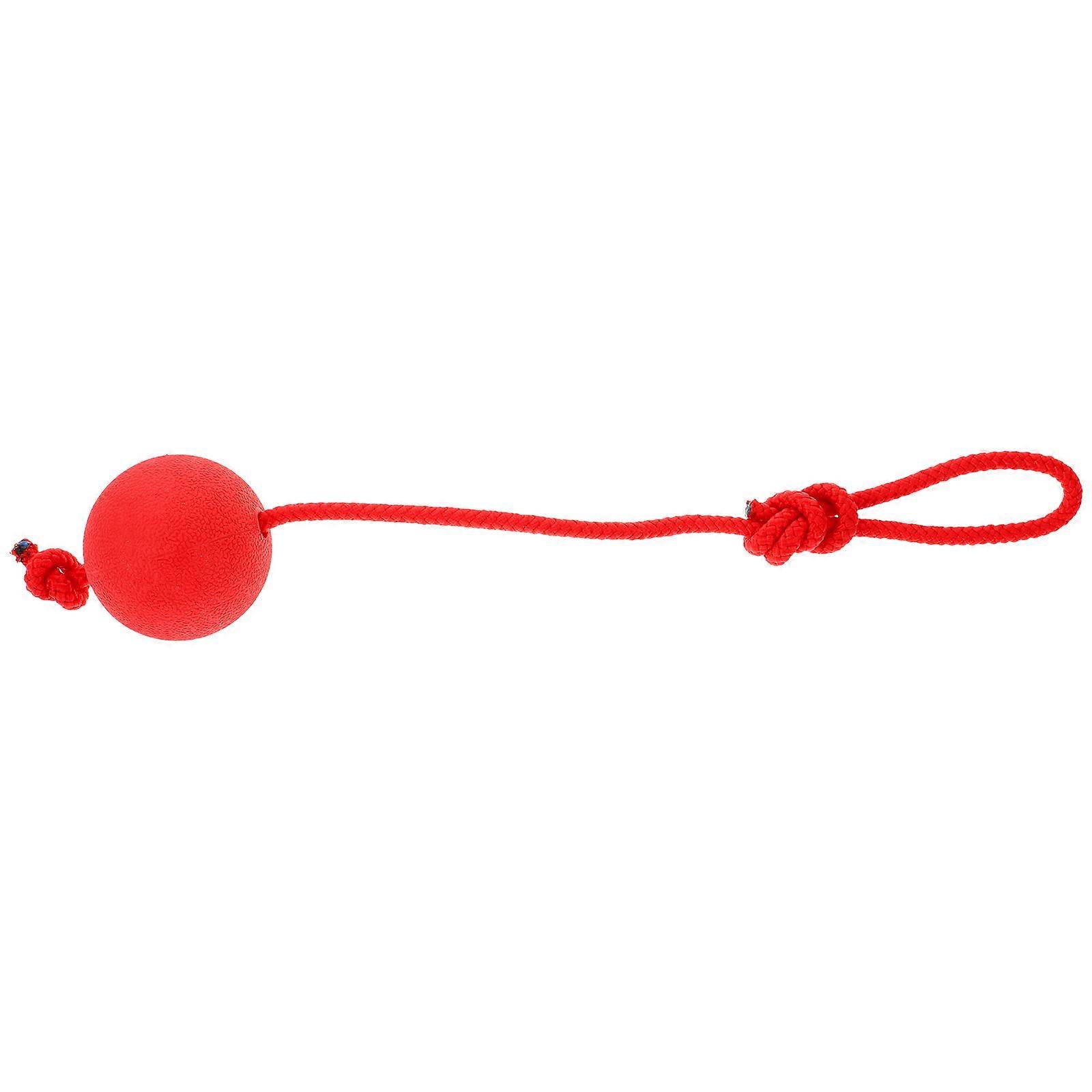 Dog Training Tool, Super Elastic Ball Encouraging Active Play with Pets