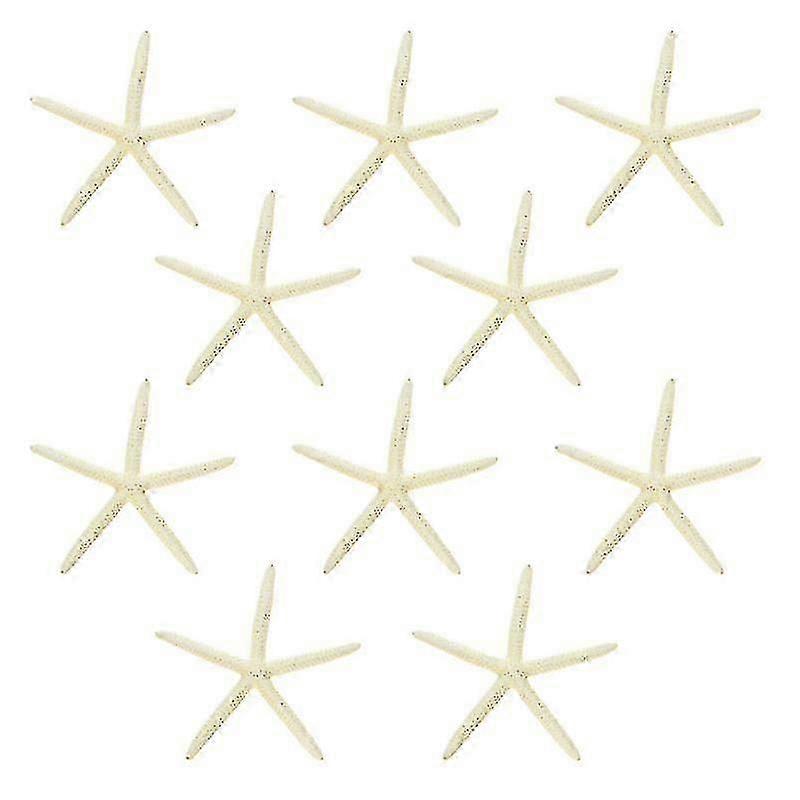 Estrela do mar dedo branco estrela do mar para decoração de casa