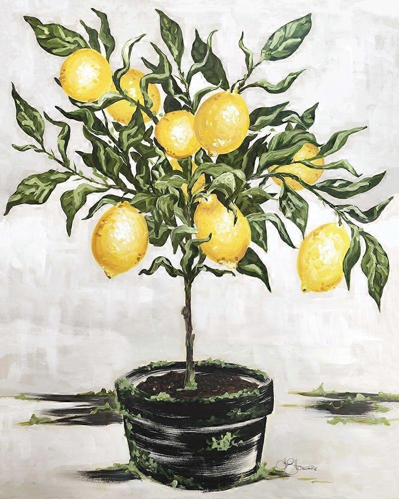 Lemon Tree Poster