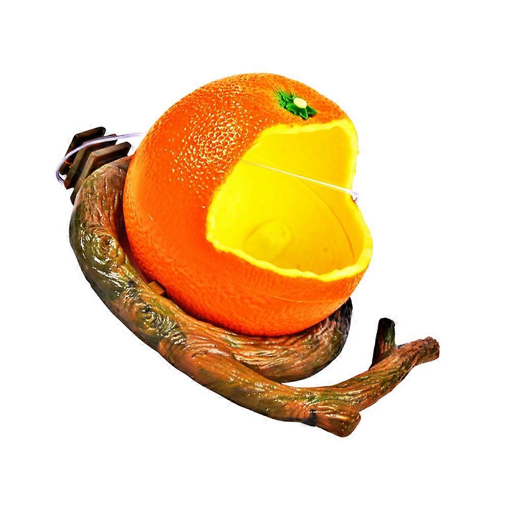 Pet Fruits Feeding Bowl Flat Base Simulation Orange Branch Design