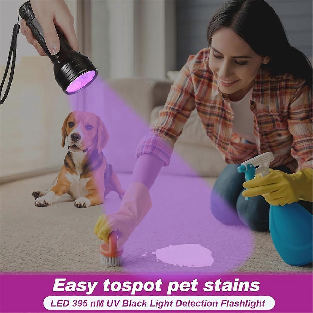 Device Kit Includes Voice Recorder LED Pet Cat Balls UV Flashlight