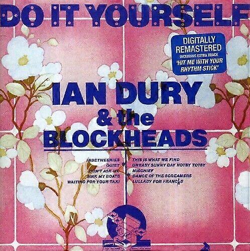 Dury Ian Gør-det-selv CD