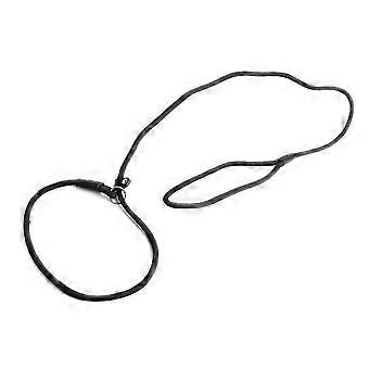 Nylon rope Dog whisperer Style Slip Train Leash Lead Collar BlackYX