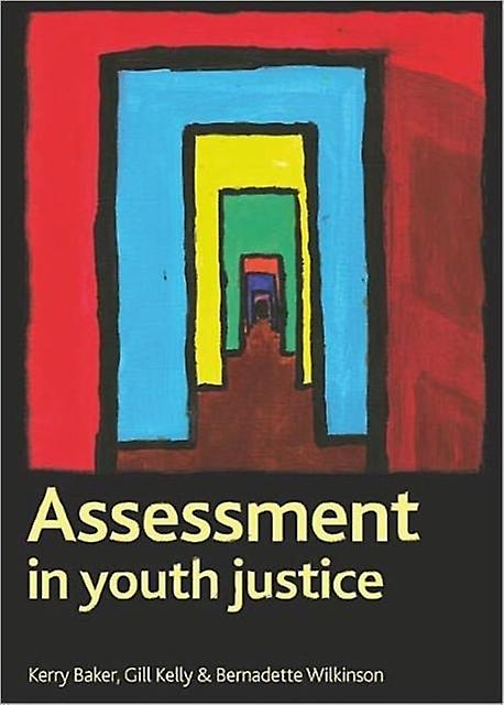 Assessment In Youth Justice Paperback Book
