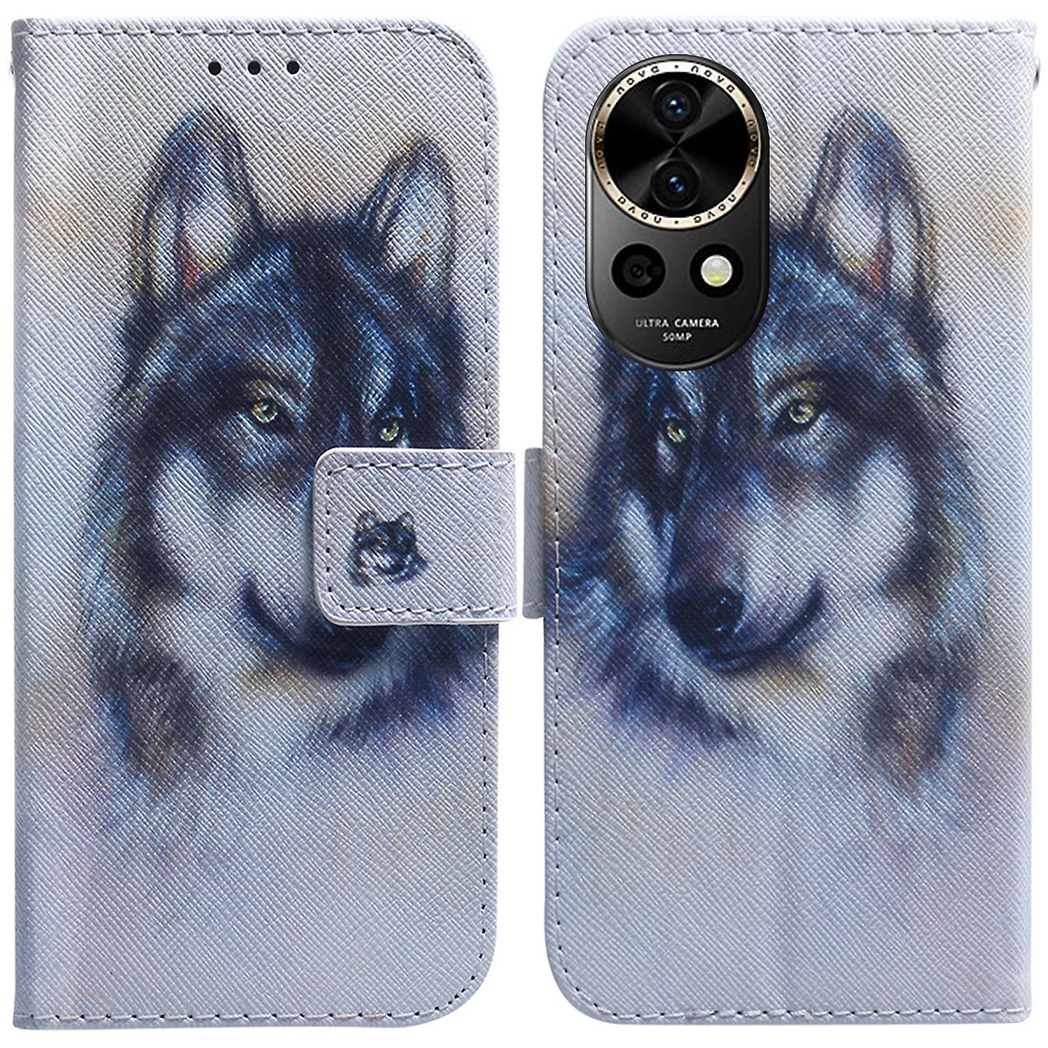Coloured Drawing PU Case For Huawei nova 12