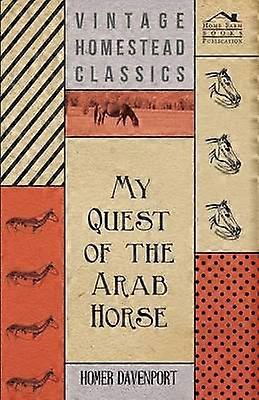 Ma quête du cheval arabe