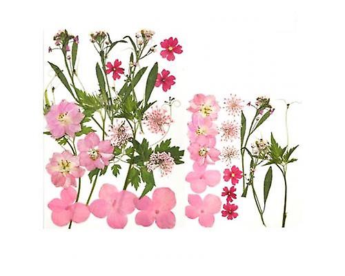 Dried Flowers For Scrapbooking