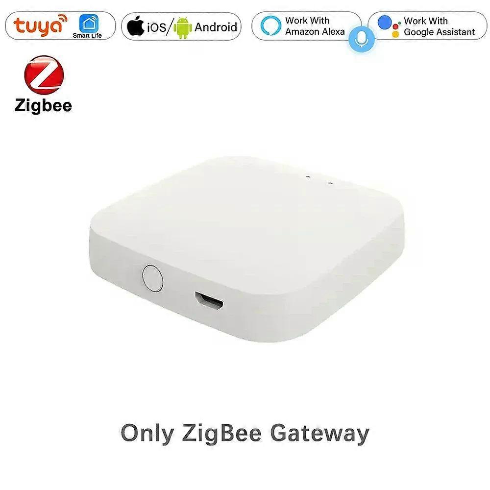 Tuya Smart Water Timer Sprinkler Wireless Faucet Tap Valves for Garden Planting Flower Tuya Smart Life App Remote Control