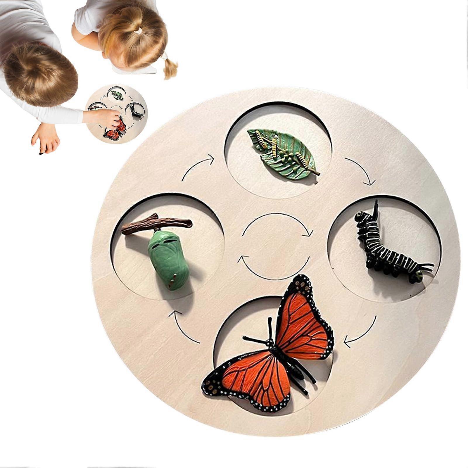 Life Cycle Toy for Kids Developmental Phases Puzzle, Educational Wooden Toy with Vibrant Colors for Toddlers to Explore Chicken Butterfly