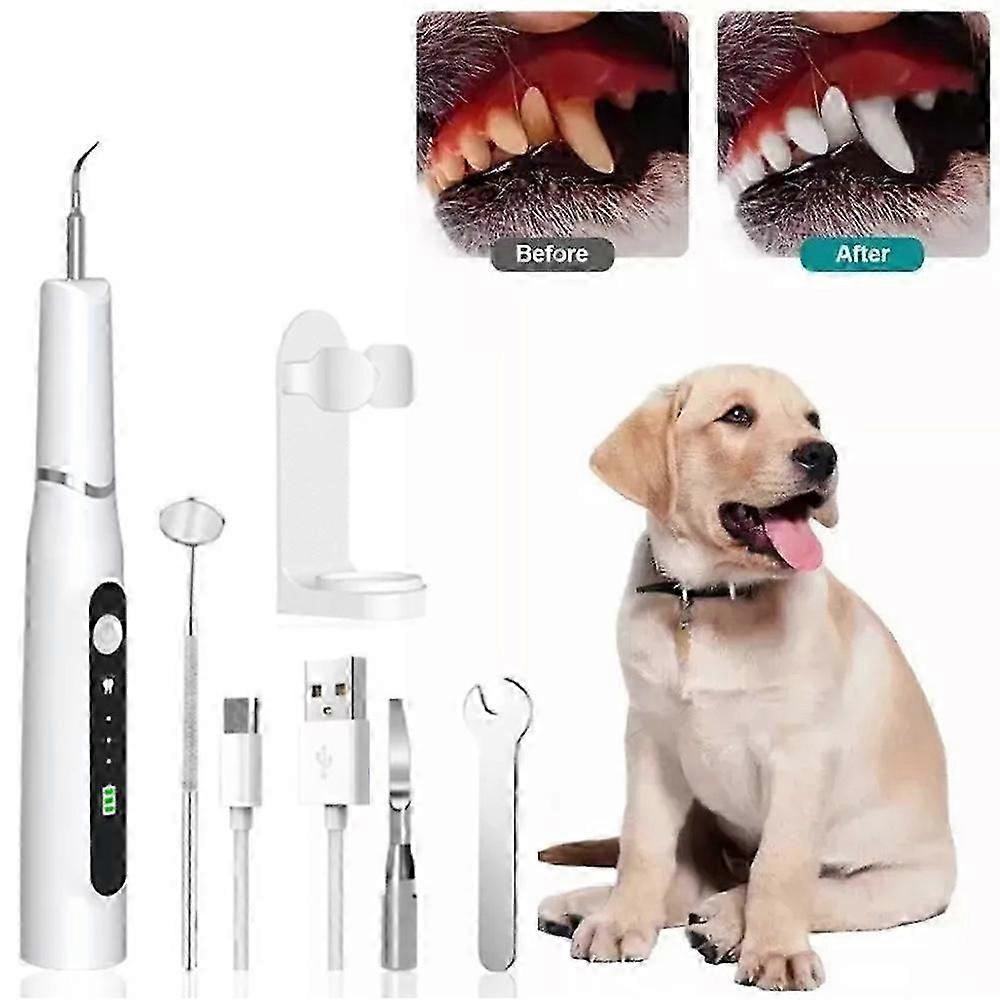 ultrasonic tooth cleaning tool for pets plaque remover