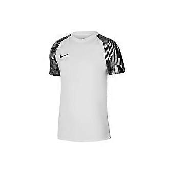Nike Drifit Academy DH8031104 ganzjähriges Training Männer