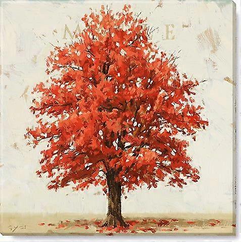 Maple Tree Canvas, Museum Quality Giclee Print, G-yezhibbb1086
