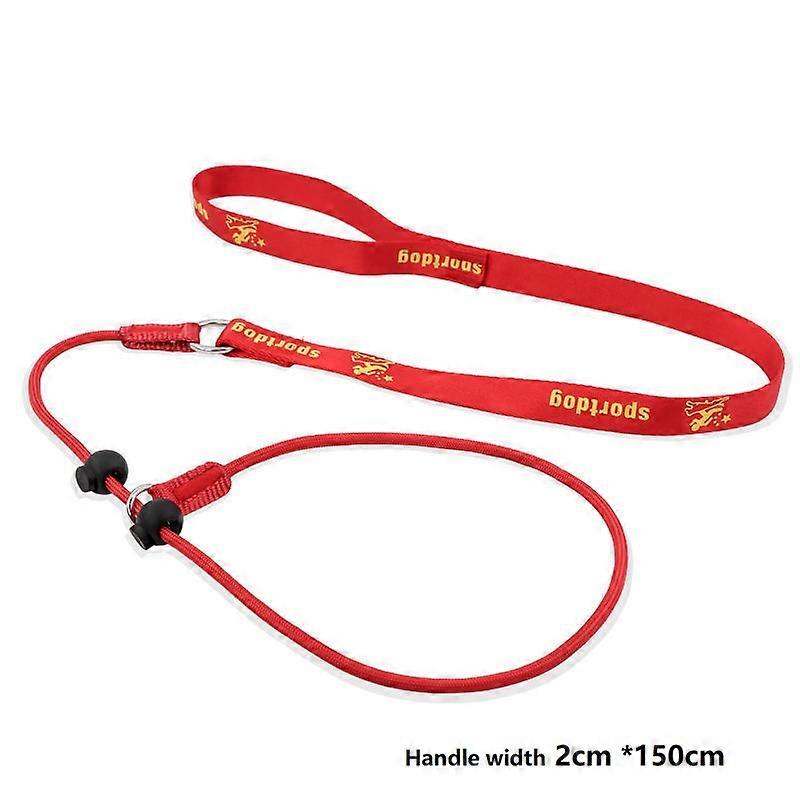 Training Dog Choking Rope Leash 2 in 1 Lead Collar 150cm P-Shaped Chain Slip Lead Control Leash for Small Large Competition Dogs