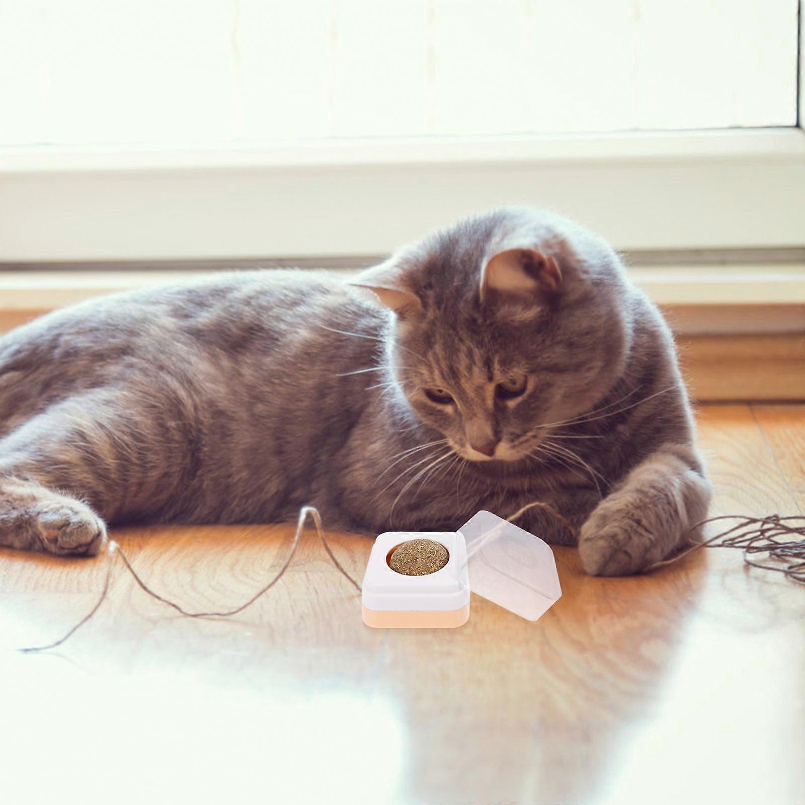 Rotating Chewing Plaything Balls for Cat Molar Cleaning 3Pcs