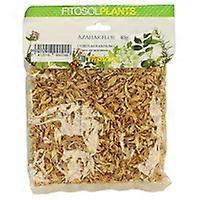 Orange blossom 40 g