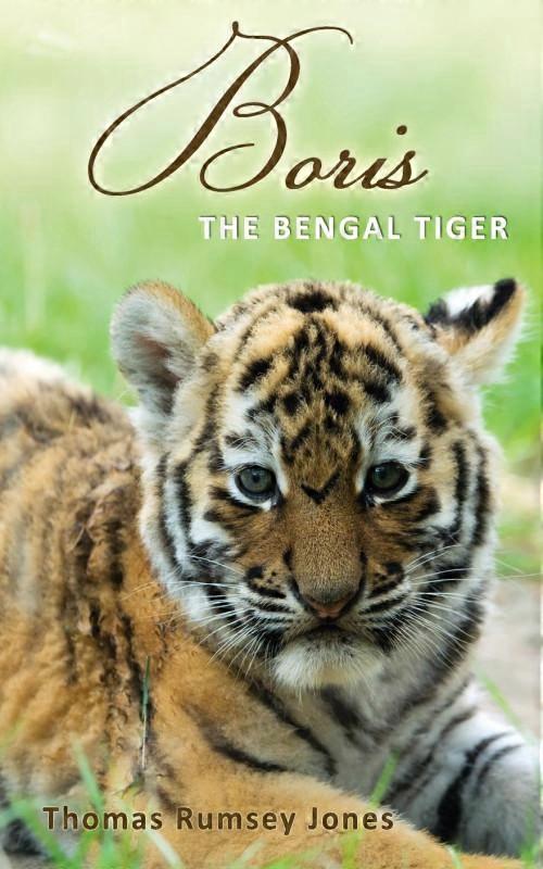 Boris The Bengal Tiger
