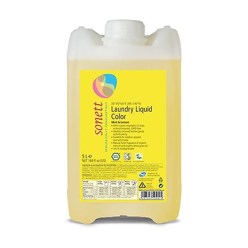 Color liquid detergent 5 L