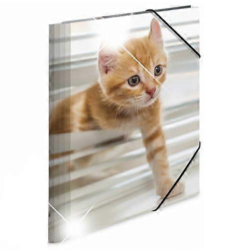 CATS Herma Premium Quality and Stylish Elasticated Glossy PP Folder A4 Animals