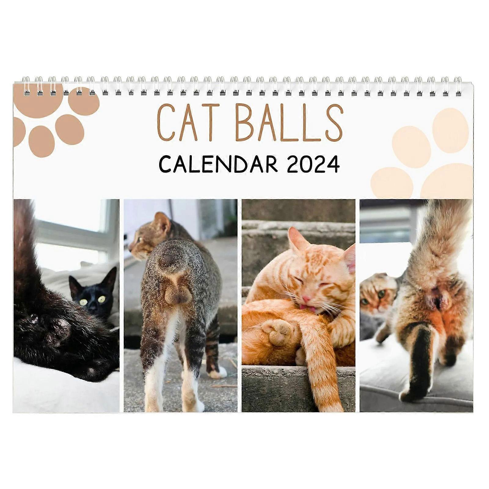 Funny Cat Butt Calendar Exquisite Pattern Full Page Months Thick Sturdy Paper Cat Butthole Wall Calendar Planner