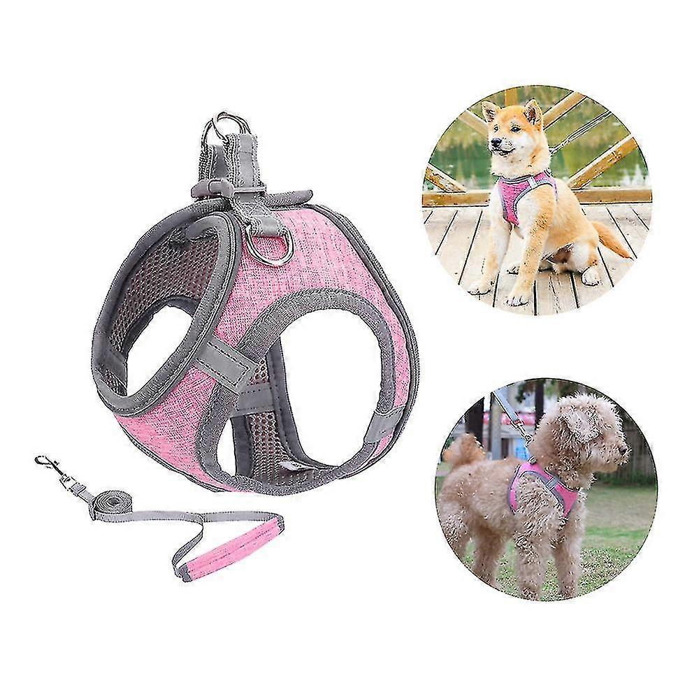 Geschirr fr kleine Hunde, Geschirr fr Welpen, weiches Geschirr und Leine  im Set mit reflektierendem Halsband | Fruugo DE