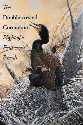 Kormoran dwuczuby