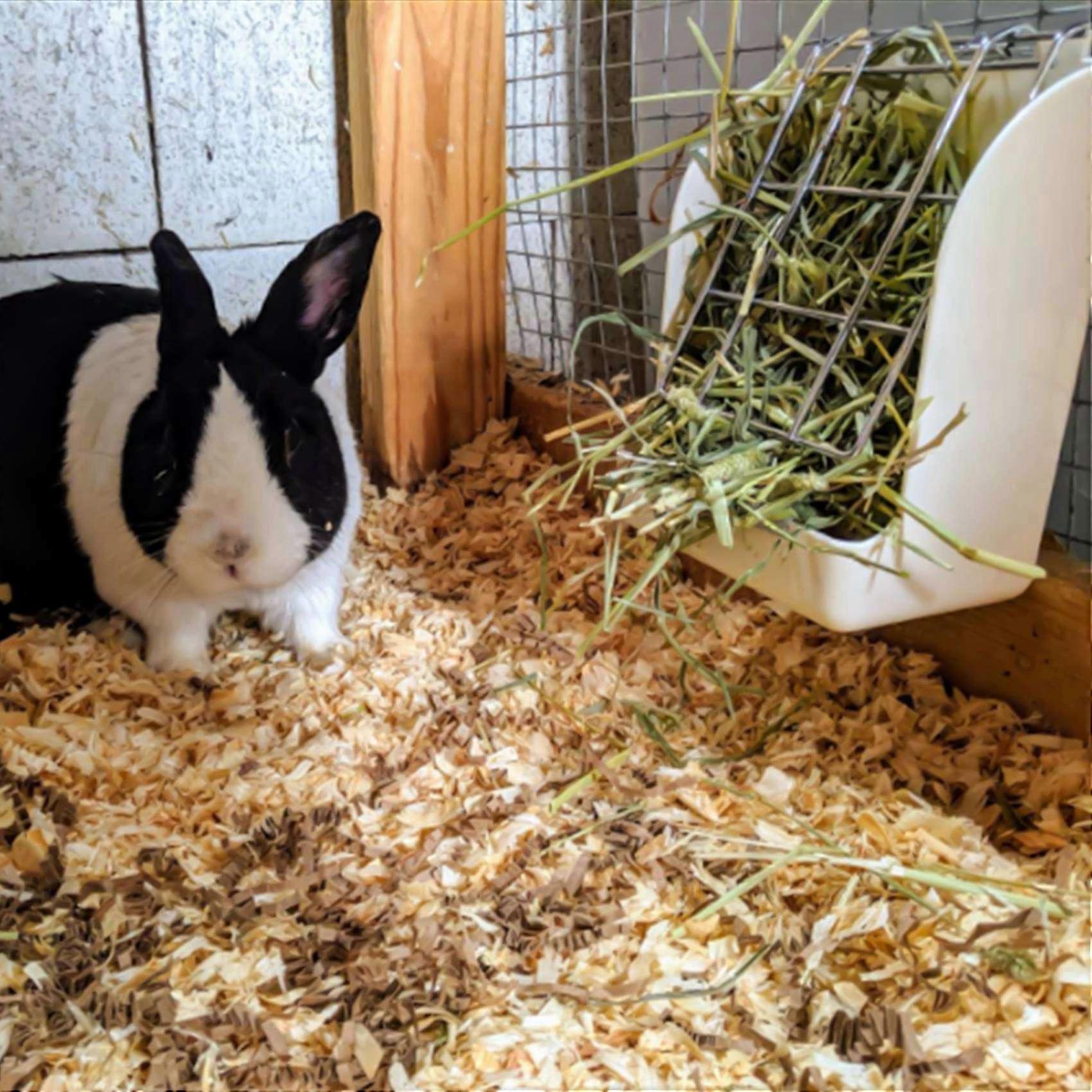 Rabbit Grass Frame Hay Feeder Manger Rack