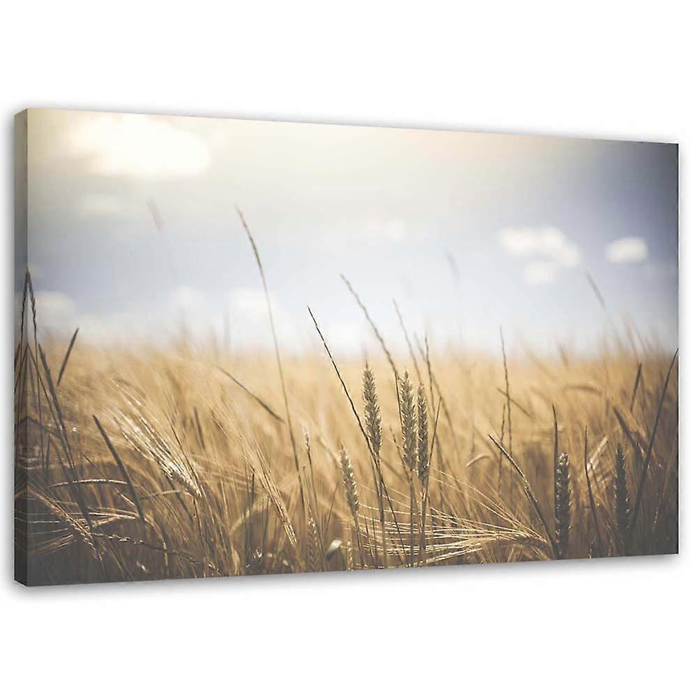 Impression sur toile, Grain dans le champ - 90x60