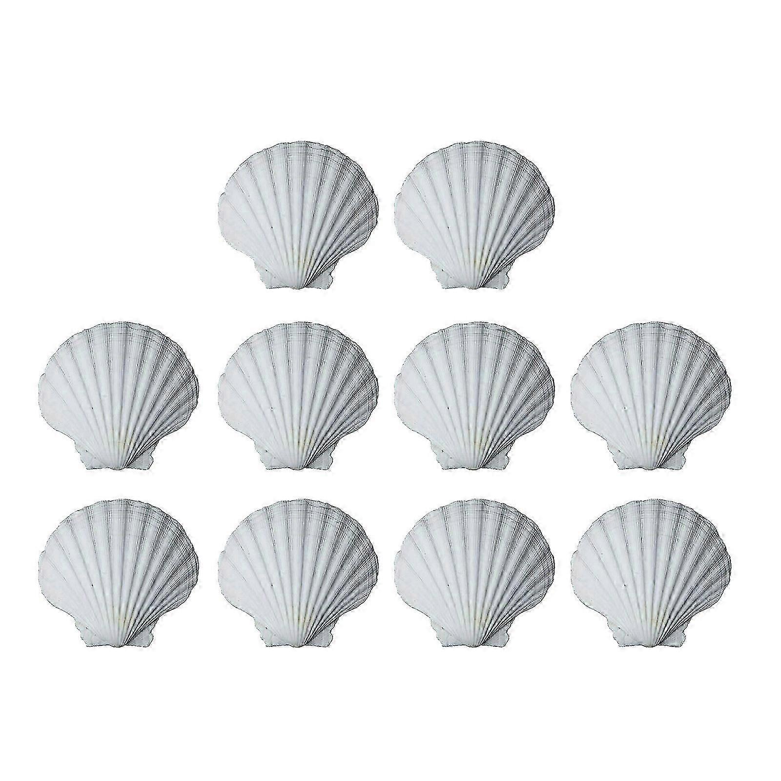 10PCS Smooth White Craft Shells Natural Scalloped Shells For DIY Art Projects And Creative Classroom Use Style C