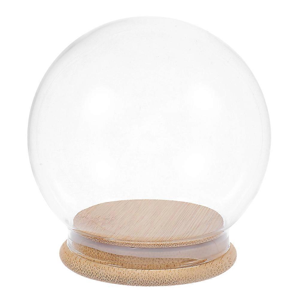 Clear Glass Dome Display Cloche with Wood Base Dustproof Decorative Globe Cover Stand for Plants, Keepsakes, and Collectibles Home Decor