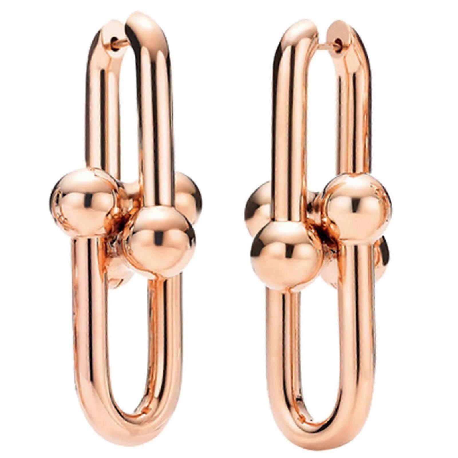 Anspruchsvoller Hufeisen-Ohrschmuck Zarter Anhänger-Ohrring-Accessoire, perfekt für Profis