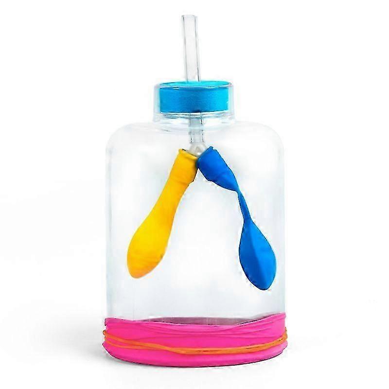 1 Set Lung Breathing Model: Science Experiment Model for Teaching to Simulate Realistic Respiratory Process - High School Physics Medical Education Su