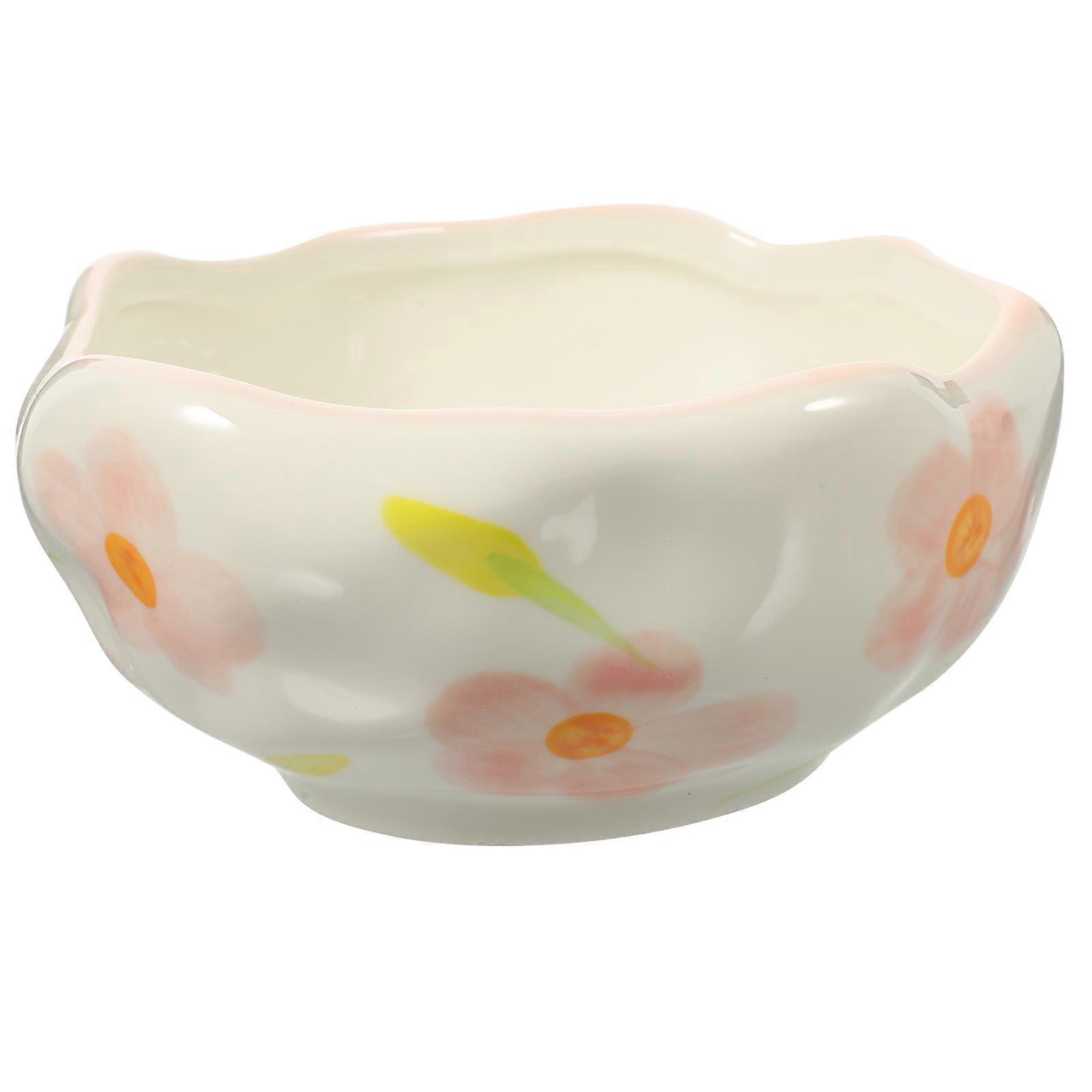 Ceramic Salad Bowl Pioneer Woman Bowl for Kitchen Use 2Pcs