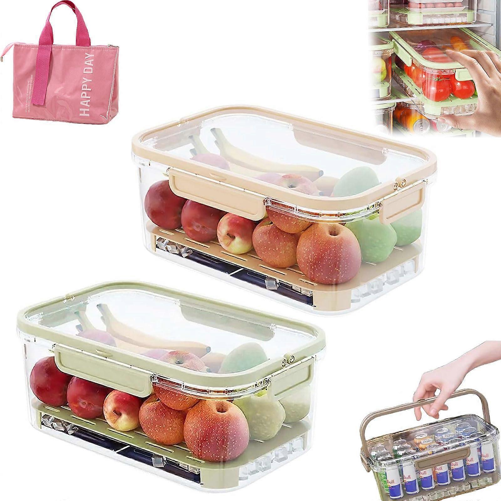 Portable Cooler Box with BuiltIn Ice Pack, Double Layer Clear Picnic Food Storage Container for Camping