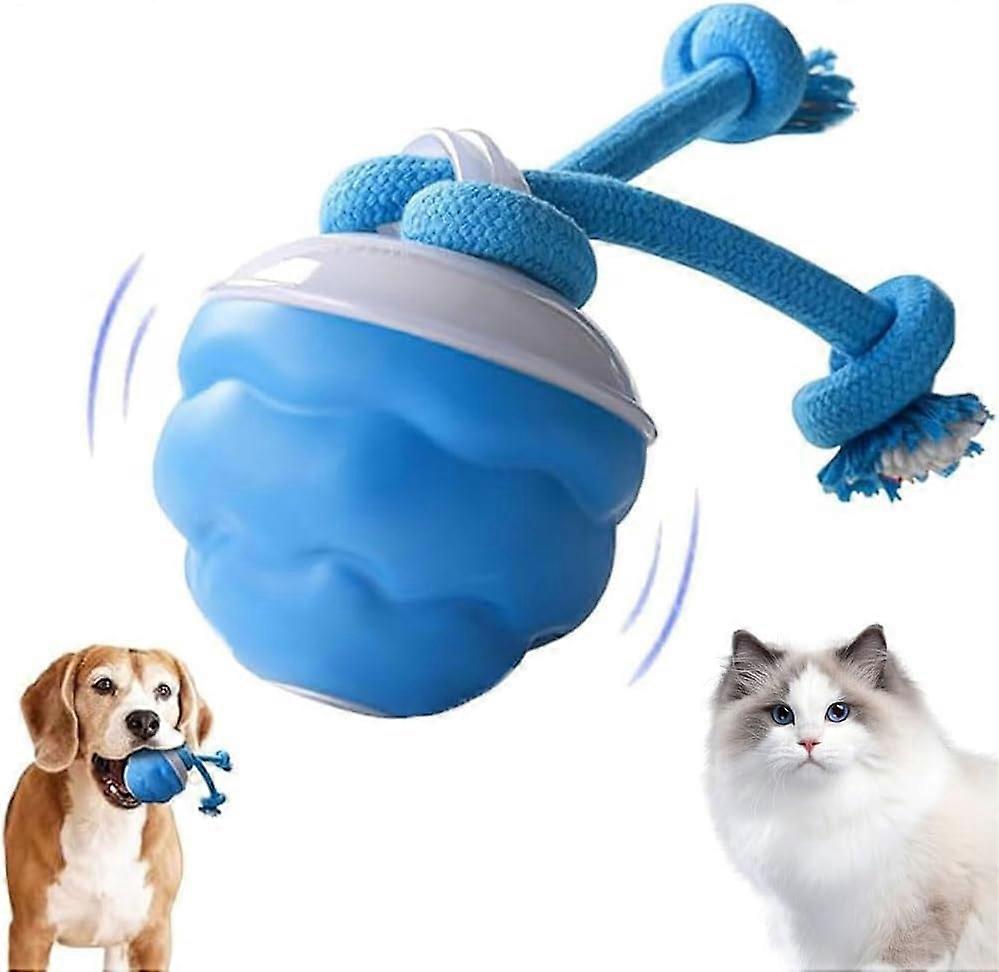 Interactive Dog Toy Ball with Smart Touch Sensor, USB Rechargeable, Durable Rope, Automatic Rolling