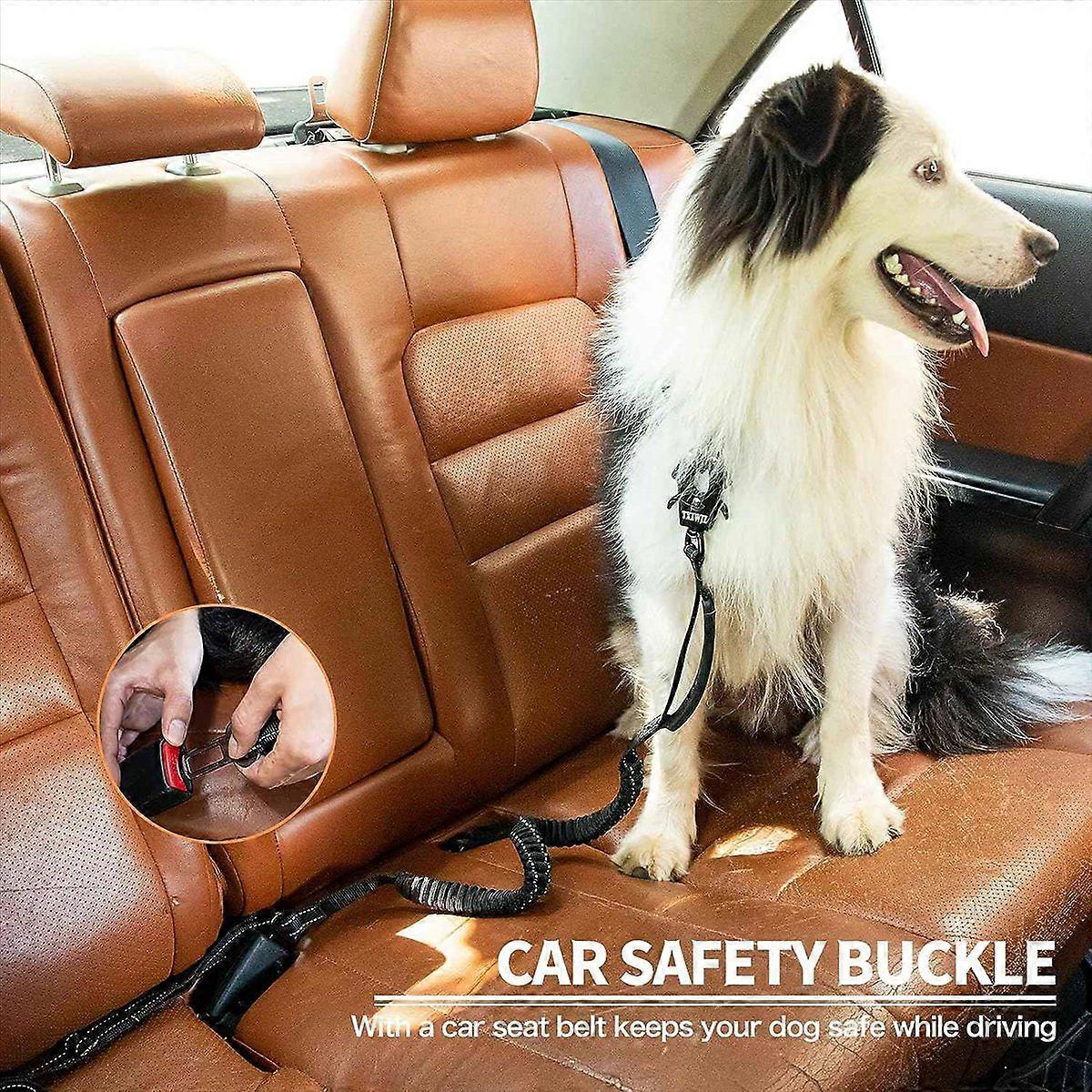 Guia de Cão Bungee Absorvente de Choque 4-6FT+2 Alça Acolchoada Preta