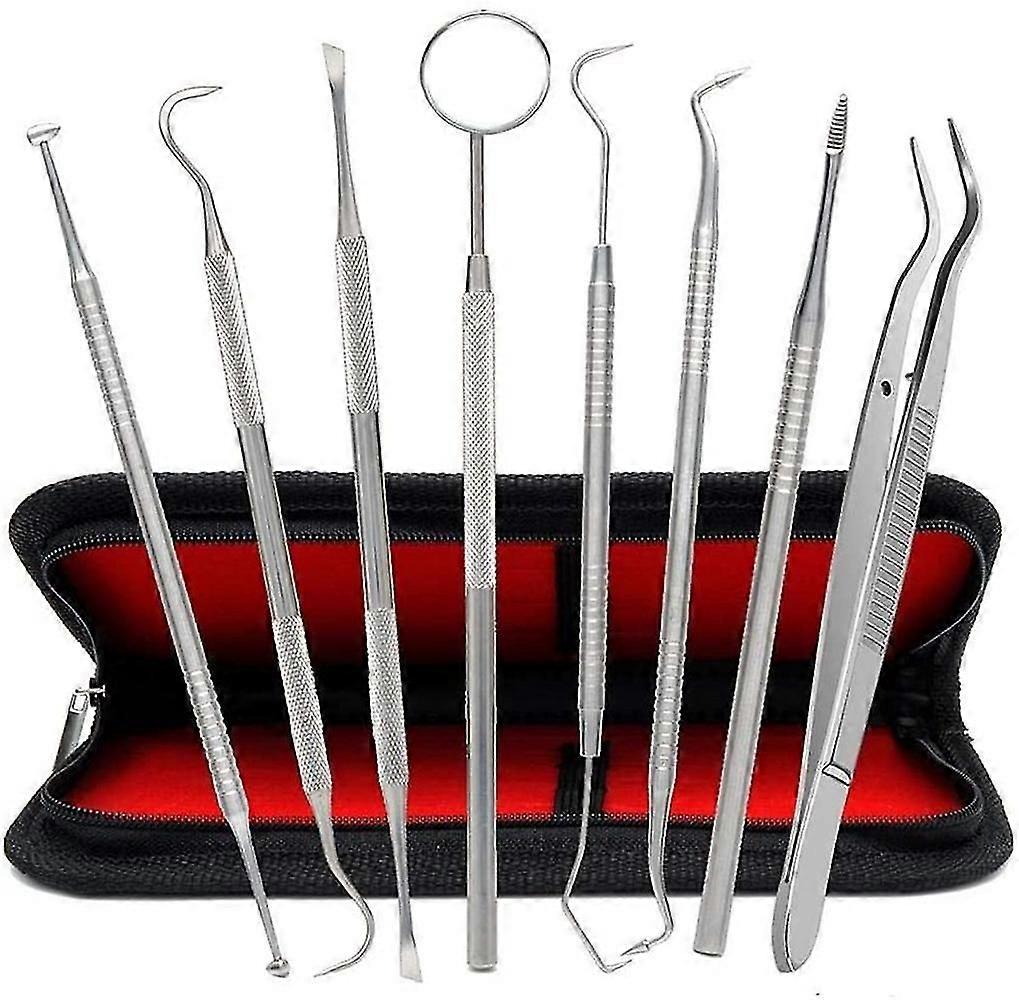 Ensemble de 8 instruments dentaires en acier inoxydable