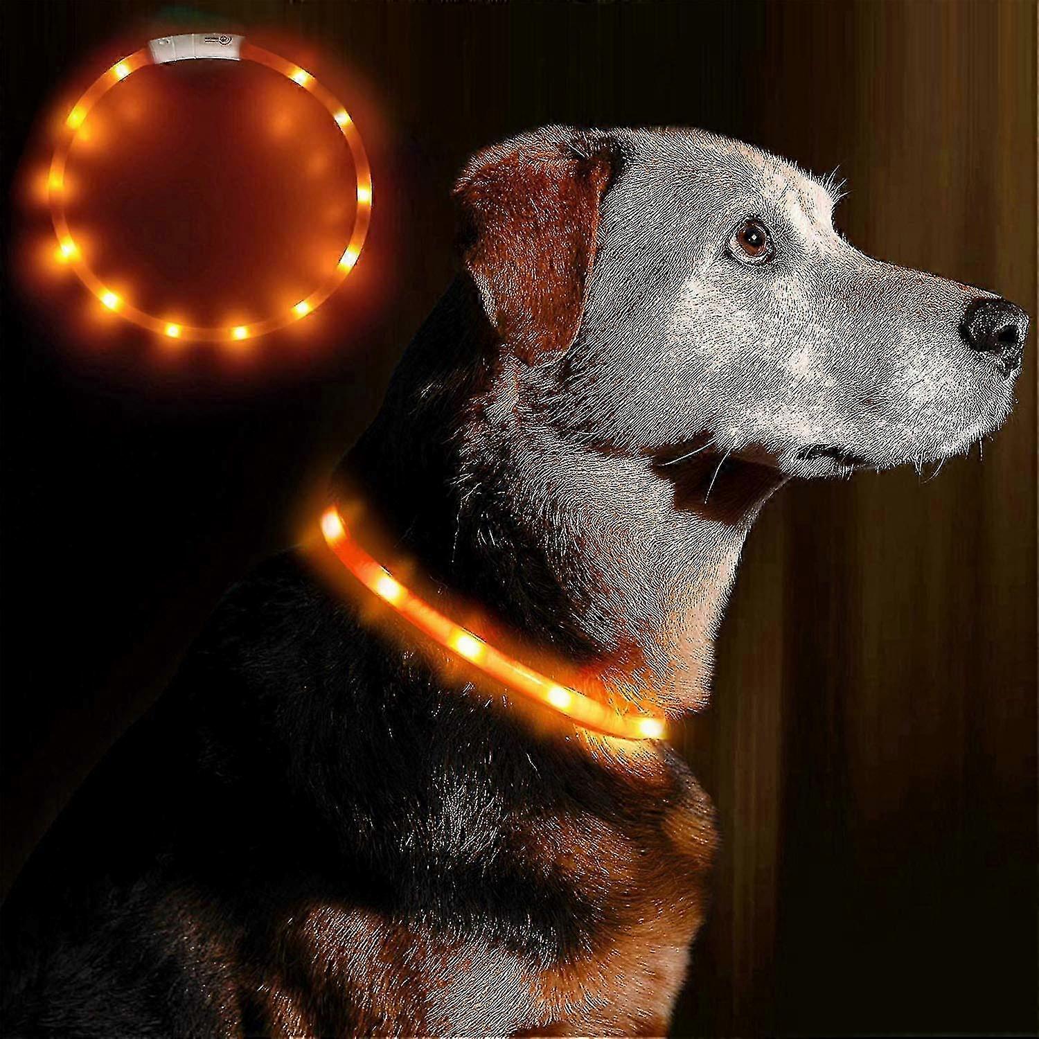 Led Light Collar Collier Pour Chien Usb Rechargeable Orange