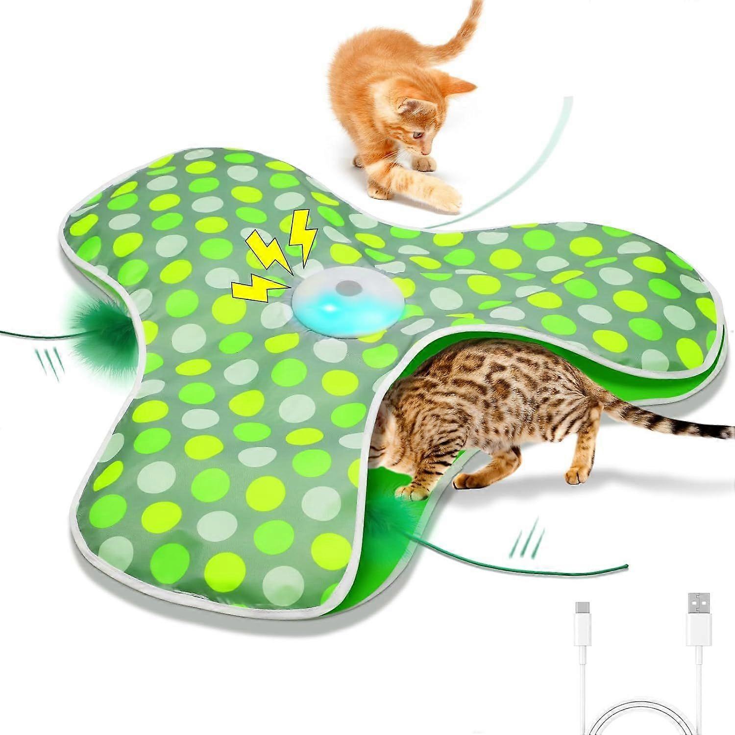 Interactive Cat Toys Rechargeable,Moving Concealed Feathers,Real Mouse