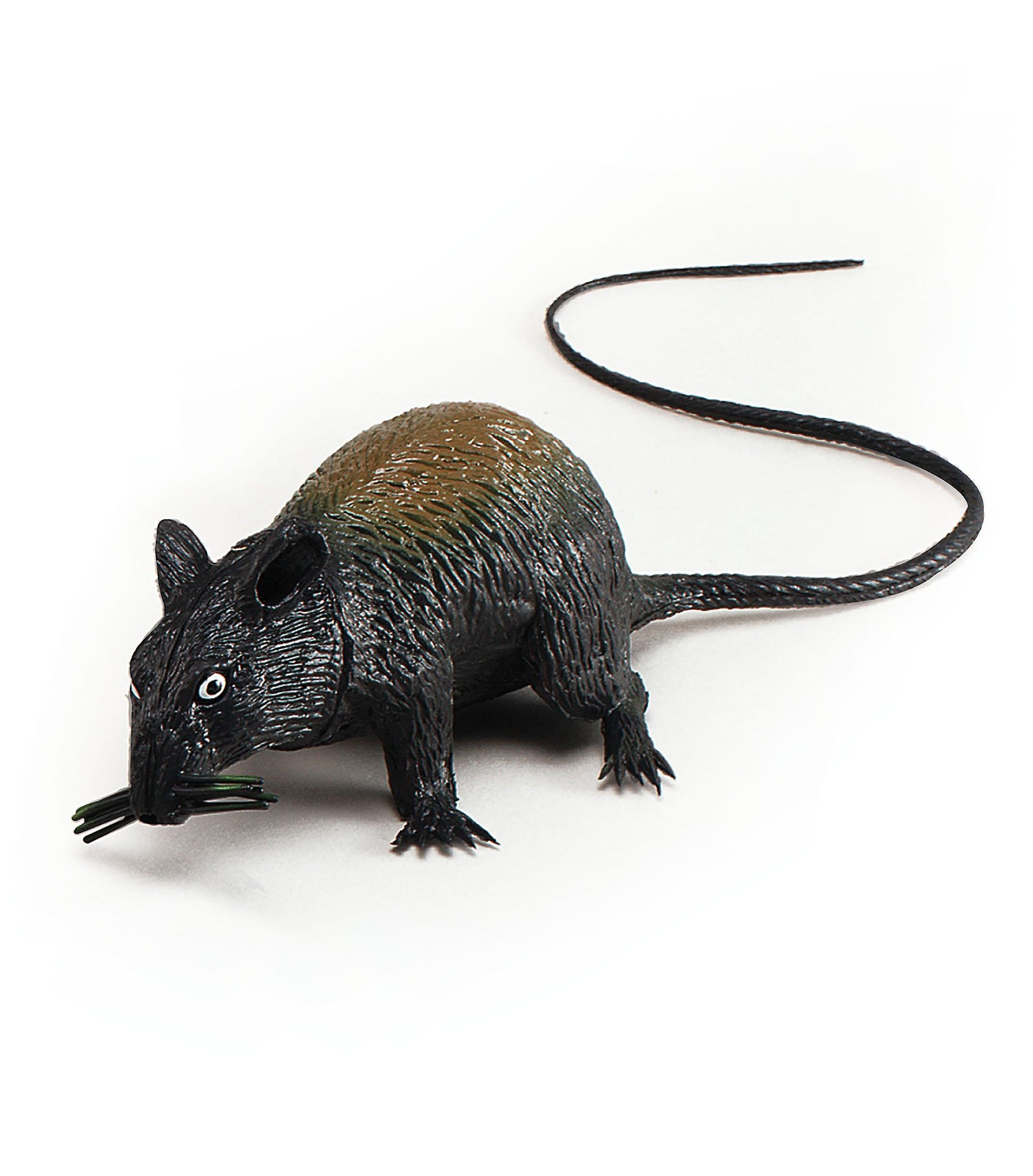 Rat Squeaking Large Animal Kingdom Unisex Ak013