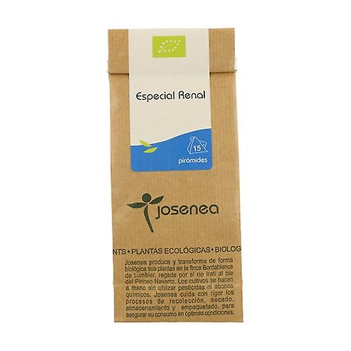 Kidney Special 15 infusion bags