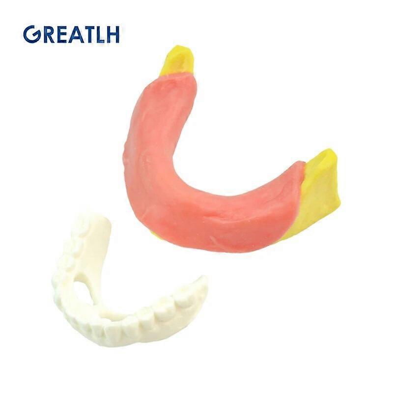 Bionic Foam Toothless Mandibular and Shell Teeth Model for Denture ...