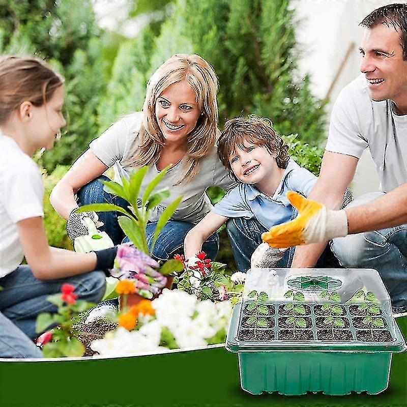 Seed Starter Trays With Grow Light Adjustable Humidity Seed Propagator Tray Set
