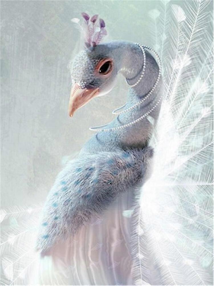 Dww-30 x 40 cm, White Peacock Diamond Painting Diamond Embroidery Painting5D Canvas Painting for Children and Adults, Rhinestone Puzzle Set, Drawing W